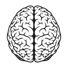 Human Brain Line Art Illustration &ndash; Anatomy Mind Vector Icon