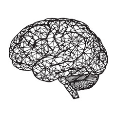 Human Brain Line Art Illustration &ndash; Anatomy Mind Vector Icon