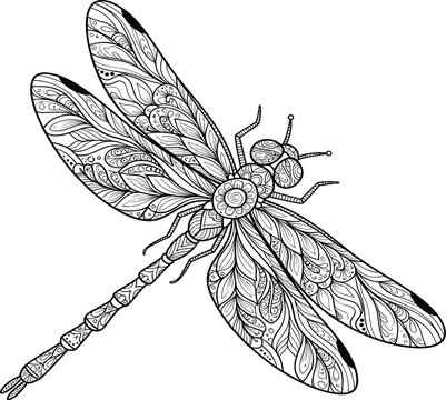 Detailed Dragonfly Line Art Vector Illustration with Intricate Zentangle Patterns, Black and White Insect Design for Coloring and Decorative Use