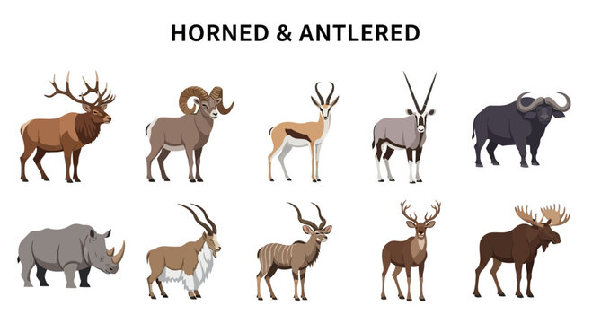 Vector illustration displaying various horned and antlered mammals against a white background
