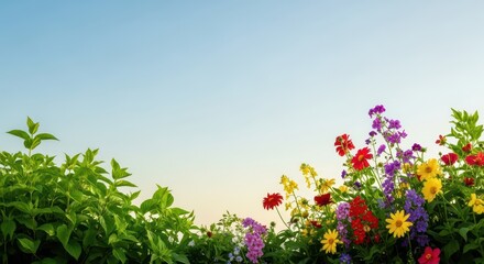 Obraz premium Vibrant natural springtime transition to summer, featuring lush green foliage and bright floral blooms under clear skies. Ideal for seasonal design elements, May, garden, nature