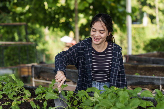Asian female student smiling while working in organic vegetable garden during school farming class using hand tools to cultivate plants and participate in sustainable agricultural learning activity