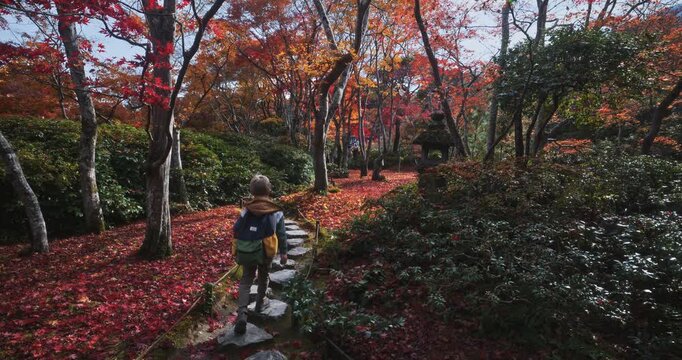 Cinematic slow motion of kid walking on stone path in beautiful, autumn Japanese forest