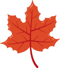 Obraz premium Illustration of Red Maple Leaf in Autumn Season