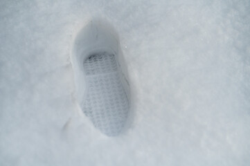 積もった雪に足跡　深さ　積雪