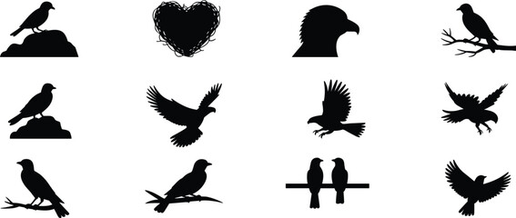 Fototapeta premium Bird silhouette icon set, flying and perched birds, raven crow shapes, wildlife nature symbols, minimal black vector illustration