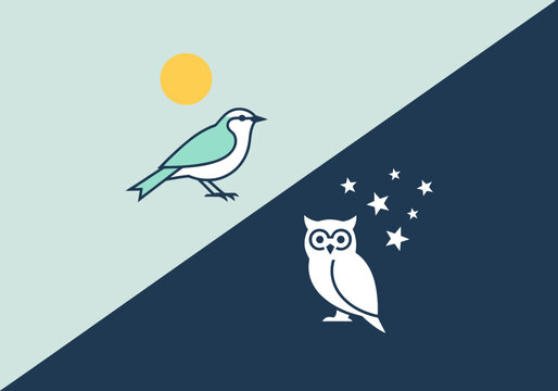 A stylized clock illustration featuring a lark owl and a night owl, symbolizing chronotype.  Clean, modern design with pastel colors and simple icons. Perfect for time-related concepts.