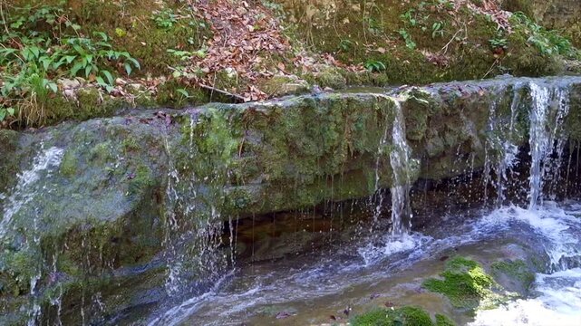 Slow motion view of gentle forest stream cascading over moss covered stone ledge in Akchour Forest near Chefchaouen, Morocco, showing calm freshwater flow in natural woodland setting