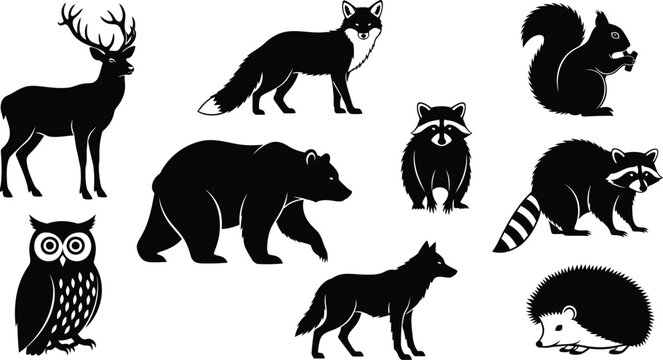 Silhouette of various forest animals in black on white background silhouette