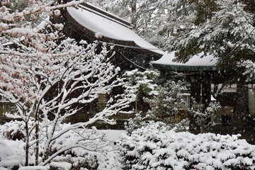 雪の降り積もる神社の風景　埼玉県川口神社