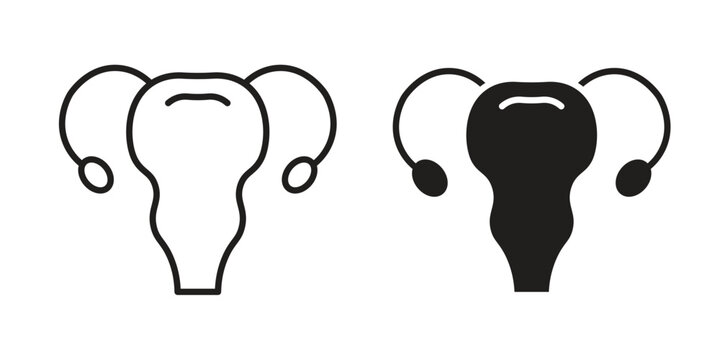Uterus icons for web developers and designers,