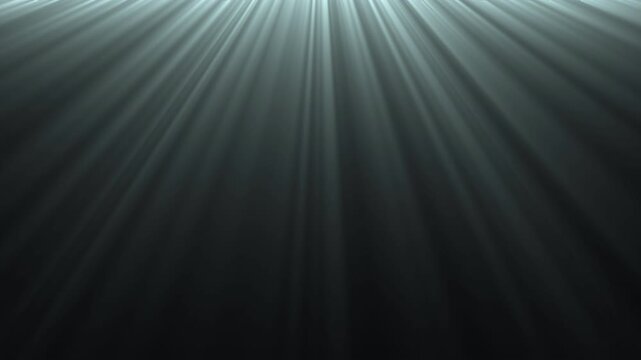 light template for video with alpha channel