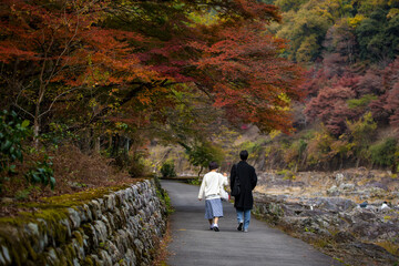 The scenery of Arashiyama and Katsura River in late autumn in Kyoto, Japan.