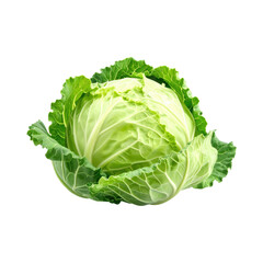 cabbage isolated on white background