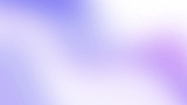 Curvy abstract design simple blue pink purple gradient on white background. Seamless loop. 4K Video