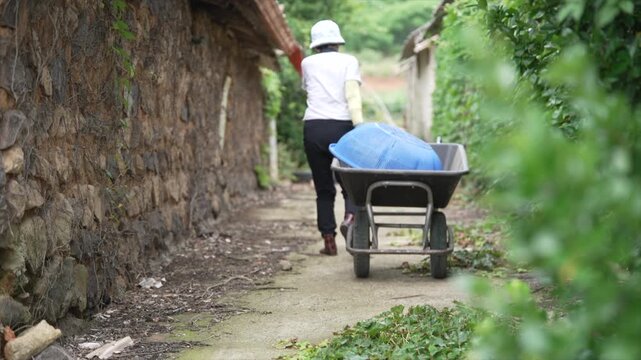 한국 시골의 아름다운 골목길을 수레를 끌고 가는 여인의 뒷모습