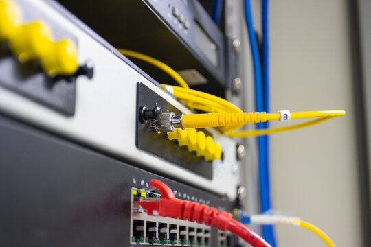 Ethernet cables plugged into network switch ports, showing wired internet connection, IT hardware and data communication equipment