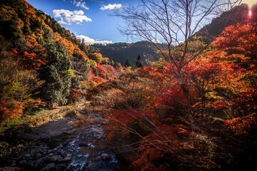 The scenery of Kiyotaki, Arashiyama in late autumn in Kyoto, Japan.