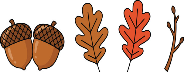 Autumn Acorn and Oak Leaf Vector Illustration Set with Brown Nuts Orange Foliage and Bare Tree Branch Isolated Element © Sirajul