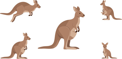 Kangaroo and Joey Set Australian Wildlife Flat Vector Illustration Isolated on White Background © MDTAREK