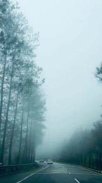 Bentong, Malaysia - February 9, 2026 - Misty highway with pine trees and cars in heavy fog