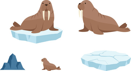 Walrus on Ice Floe Arctic Wildlife Set Flat Vector Illustration Isolated on White Background © MDTAREK