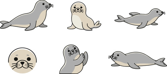 Cute Seal Vector Illustration Set Featuring Grey Marine Animals in Various Poses Including Swimming Sitting and Clapping Pack © munzuara