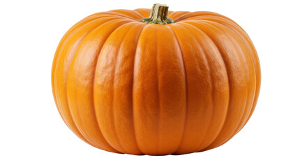 Obraz premium Vibrant orange pumpkin resting isolated on white background ideal for autumn decoration