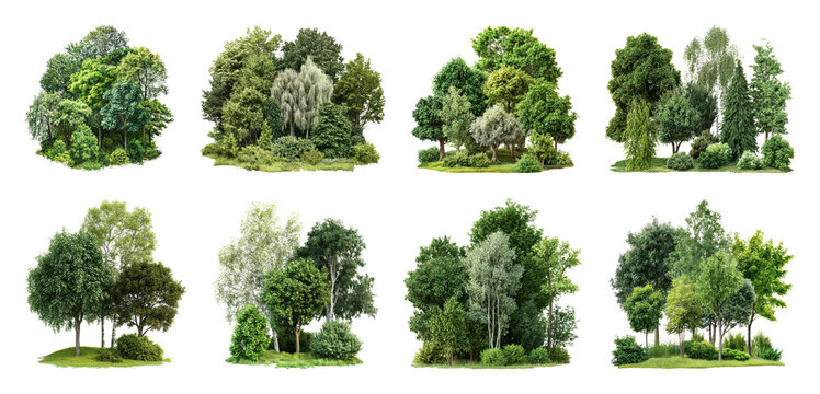 PNG Lush diverse green tree clusters element set on transparent background