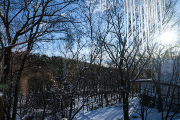 青空とつららと雪景色