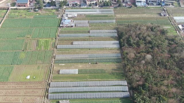 Aerial Agricultural Farmland with Greenhouses and Residential Area