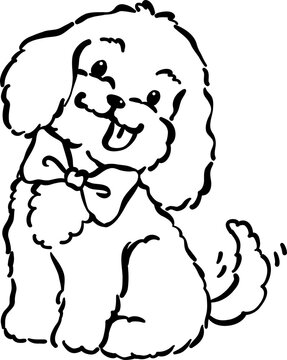 Cozy home happy cavoodle dog outline smile with bowtie hand drawn