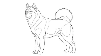 Obraz premium Profile line art illustration of a siberian husky dog showing its distinctive coat markings and curled tail.