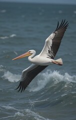 A Pelican Resting on the Dock with Its Long Neck Curled Gracefully