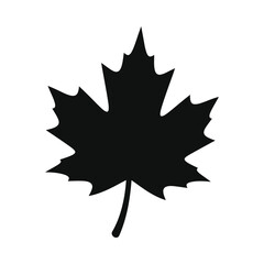 Fototapeta premium Black silhouette of a maple leaf icon