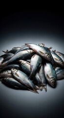 Obraz premium A substantial, glistening pile of silver barb fish, recently harvested, resting upon a smooth, isolated surface in preparation for market, close up, Fish, isolated