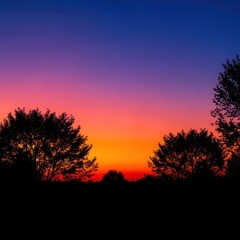 Dramatic landscape view of dark tree shapes silhouetted against the bright, colorful sky during twilight hour, sky, cloud, bright