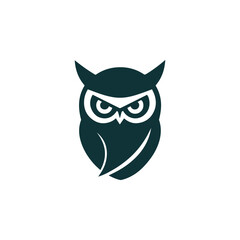 Fototapeta premium Ninja Owl Logo