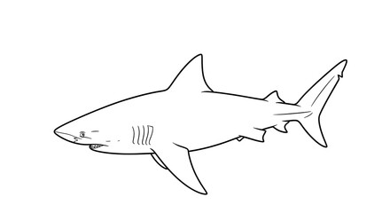 Fototapeta premium Minimalist side view profile of a shark rendered in clean black lines