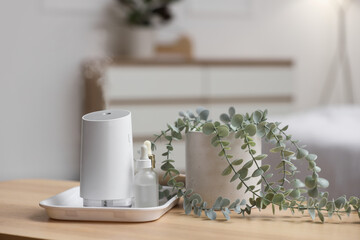 Air humidifier with essential oil and pot of eucalyptus on table in bedroom, closeup © Pixel-Shot