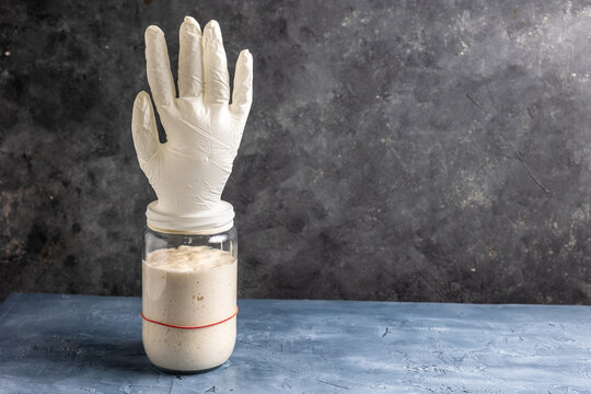 Active sourdough starter in glass jar with inflated glove