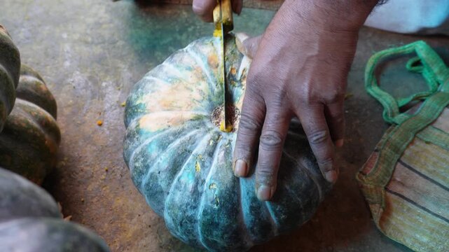 Person Cutting Fresh Pumpkin Calabaza Winter Squash Knife