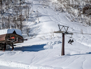 Sunny winter day at a Japanese ski resort featuring a chairlift and snowy trees