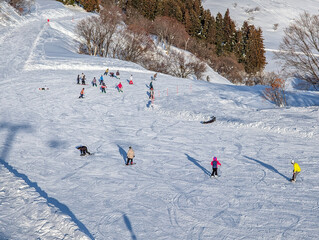 Winter recreation scene with people skiing and snowboarding at a resort in Nagano