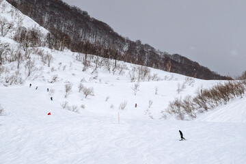 Snow covered mountain landscape with bare trees and skiers at a Japanese ski resort