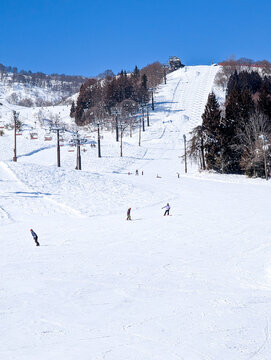 Skiers and snowboarders enjoying a clear blue sky day on the slopes of Togari Onsen