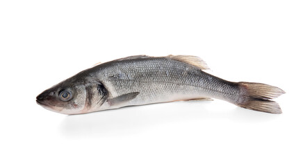 Obraz premium Fresh uncooked seabass fish isolated on white background, closeup