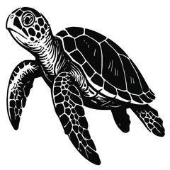 Fototapeta premium Sea Turtle Swimming Wildlife Style Vector Illustration, Marine Life Animal on White Background
