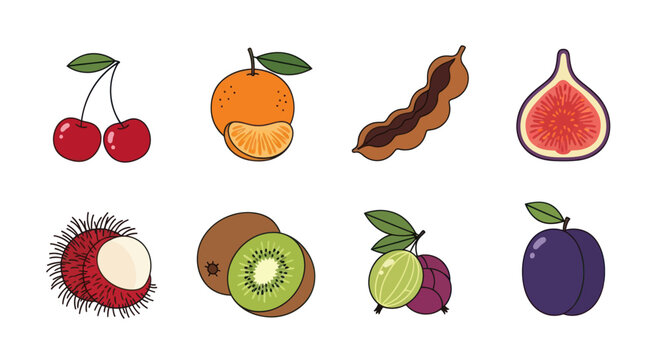 Variety of fresh colorful fruit illustrations