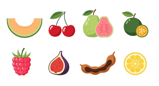 Various colorful fruit illustrations